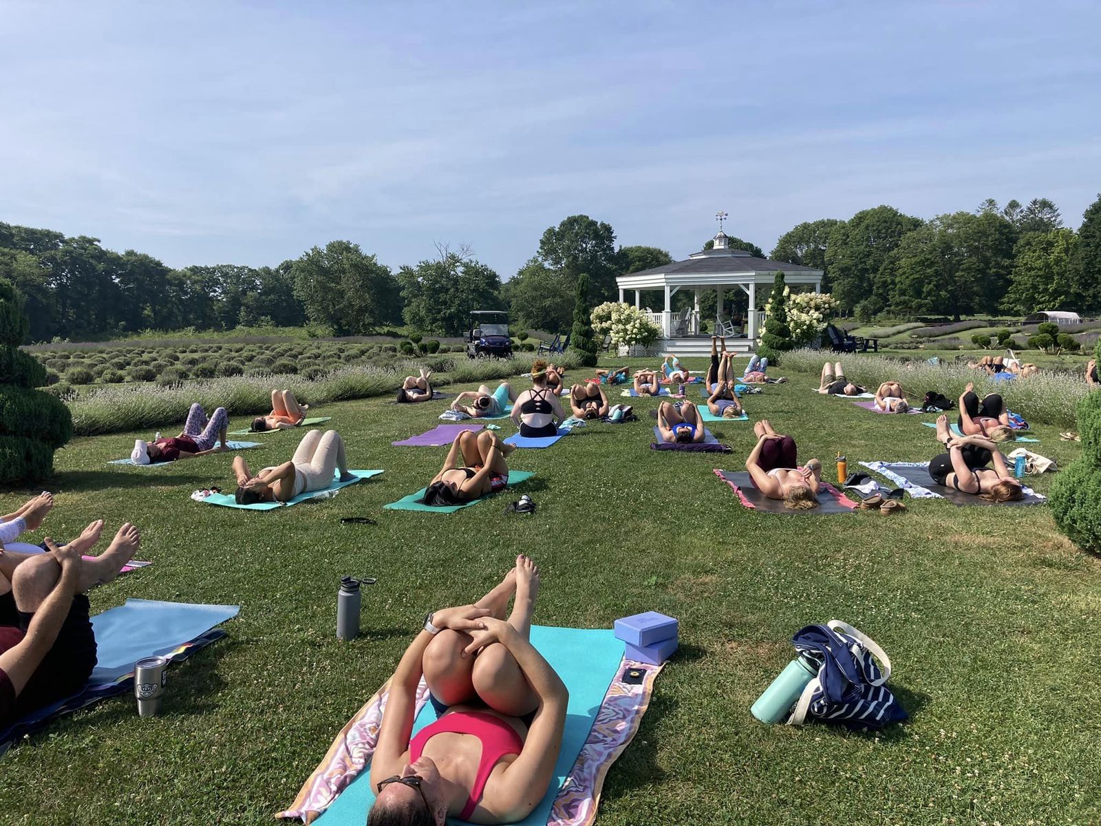 A lavender yoga class in session at Lavender Waves Farm