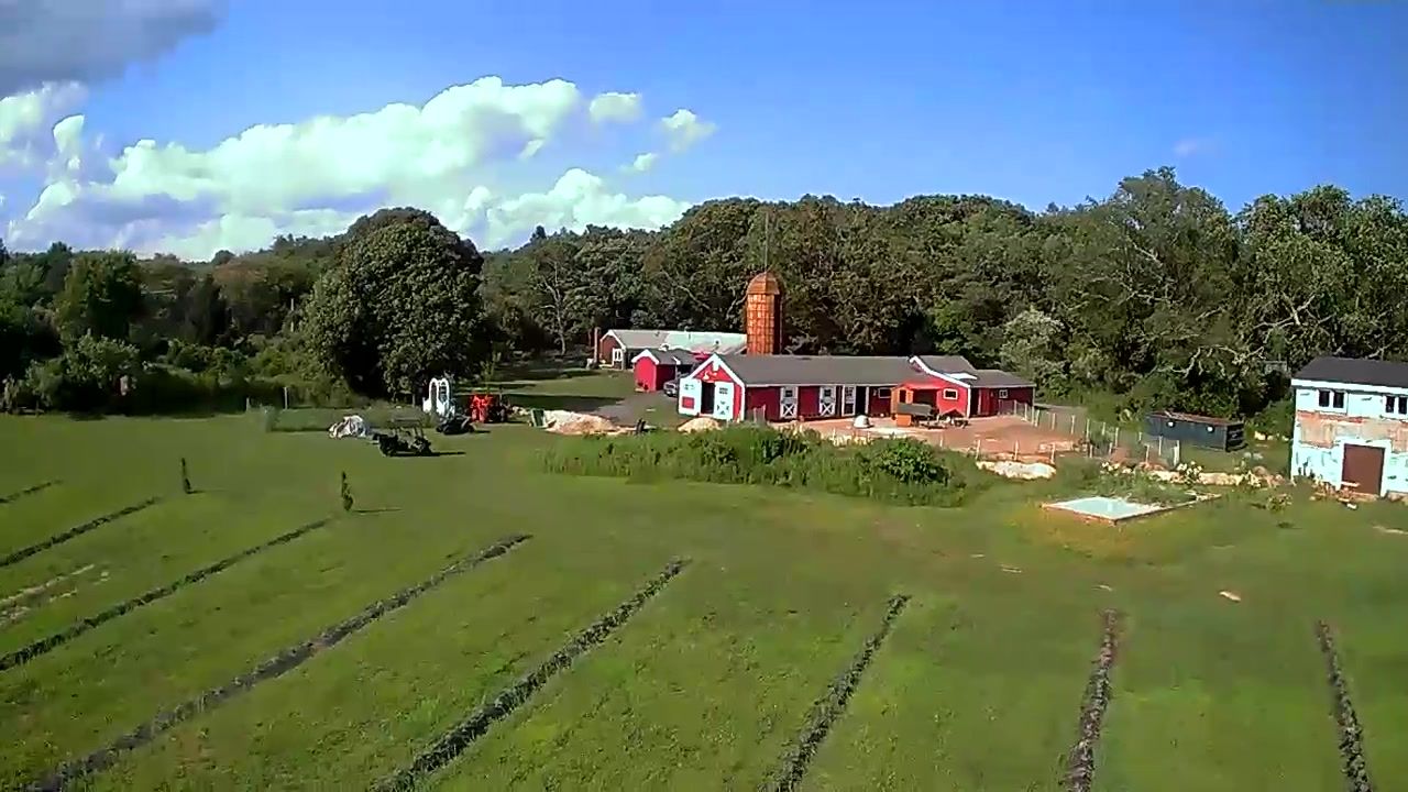 The farm buildings beyond the field