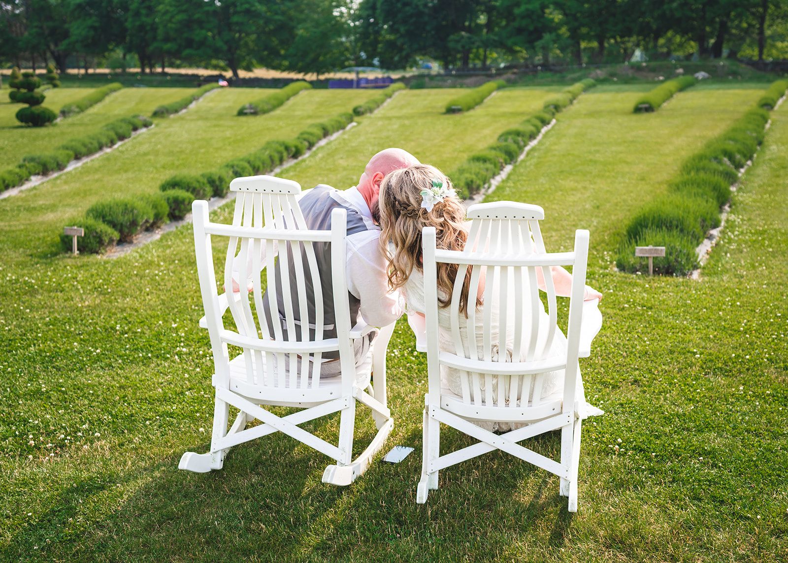 White rocking chairs overlooking the lavender rows