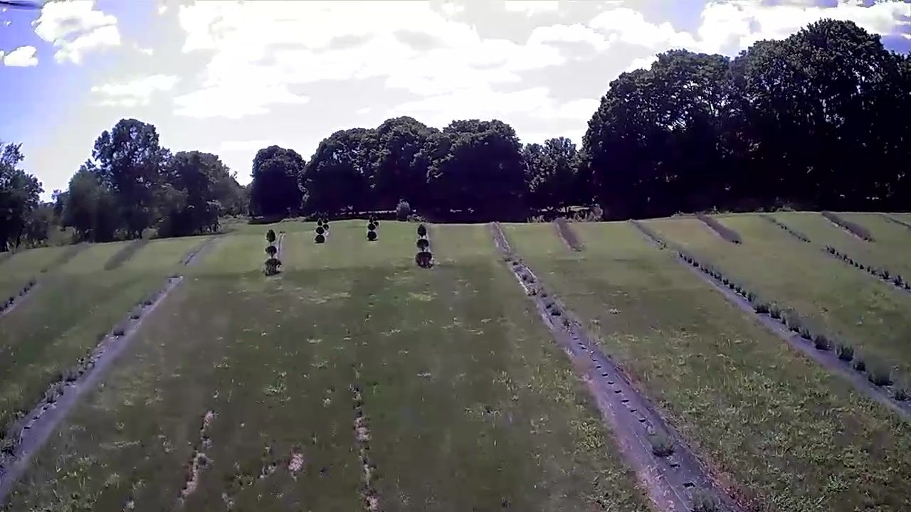 The gazebo at the heart of the field
