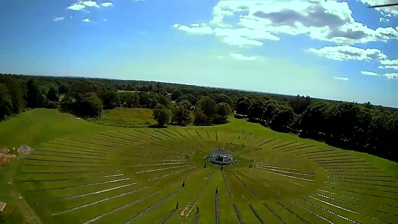Circles within circles — the lavender field from above