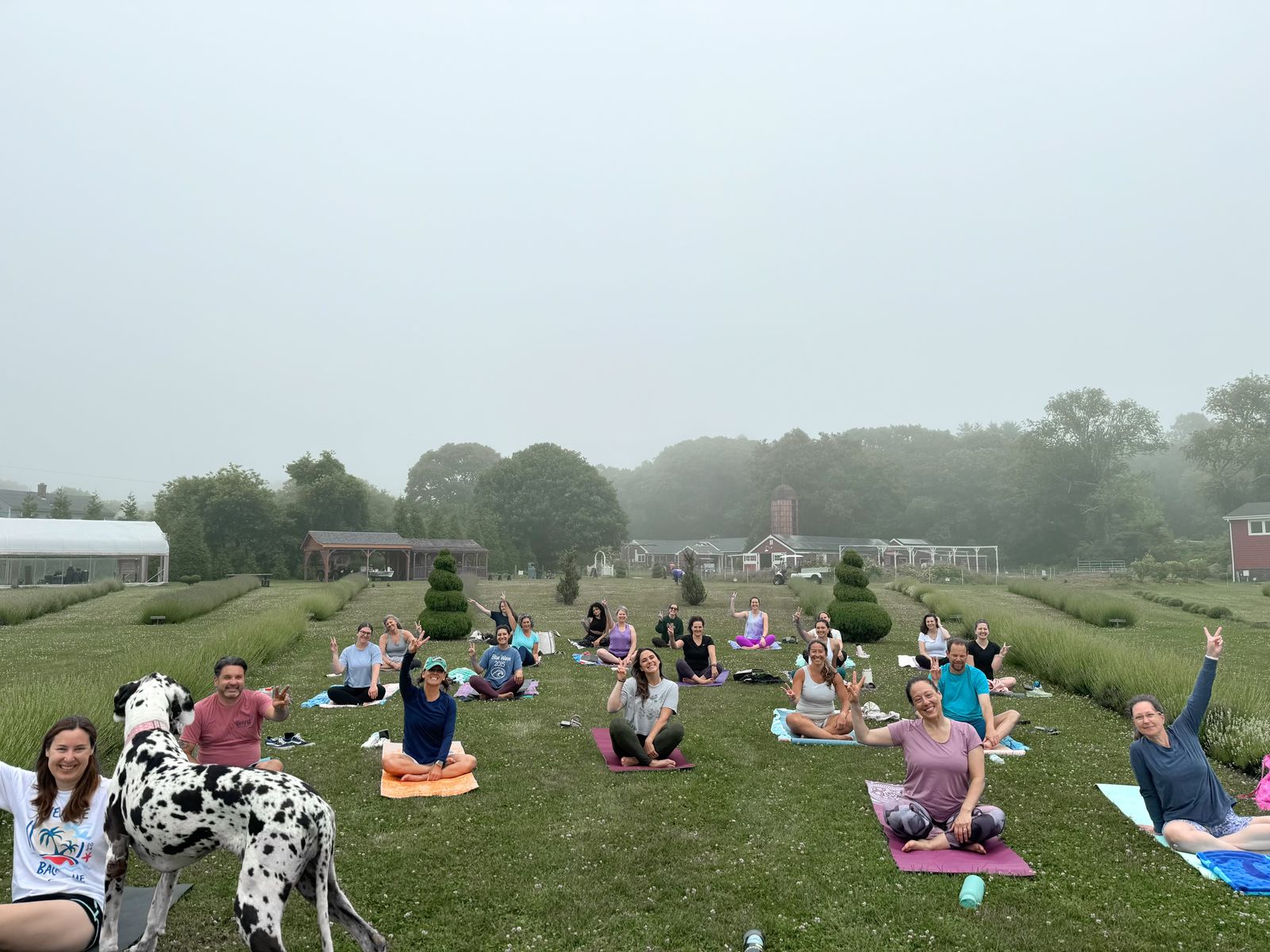 A group gathered on mats in the lavender field