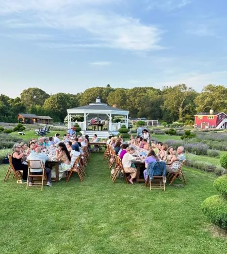 A reception on the lawn by the gazebo at Lavender Waves Farm