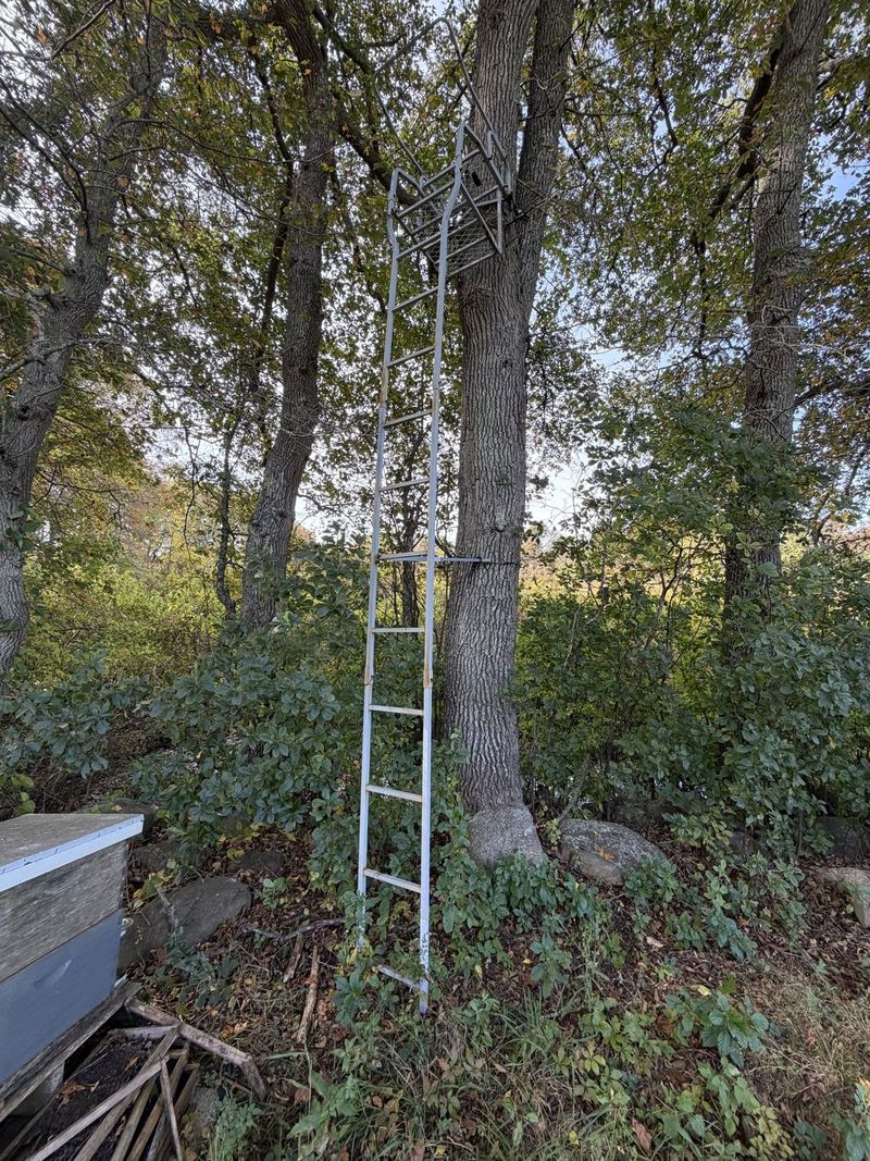 Photo of the Hunting Ladder Tree Stand for sale at Lavender Waves Farm