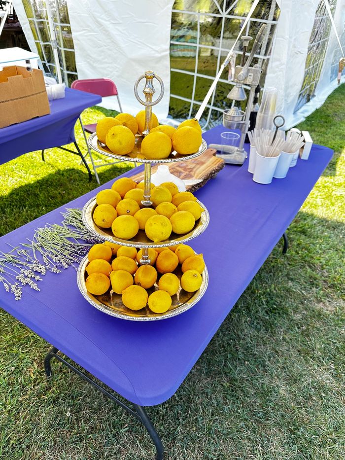 The farm's lemonade stand at a wedding, with fresh lemons and lavender sprigs