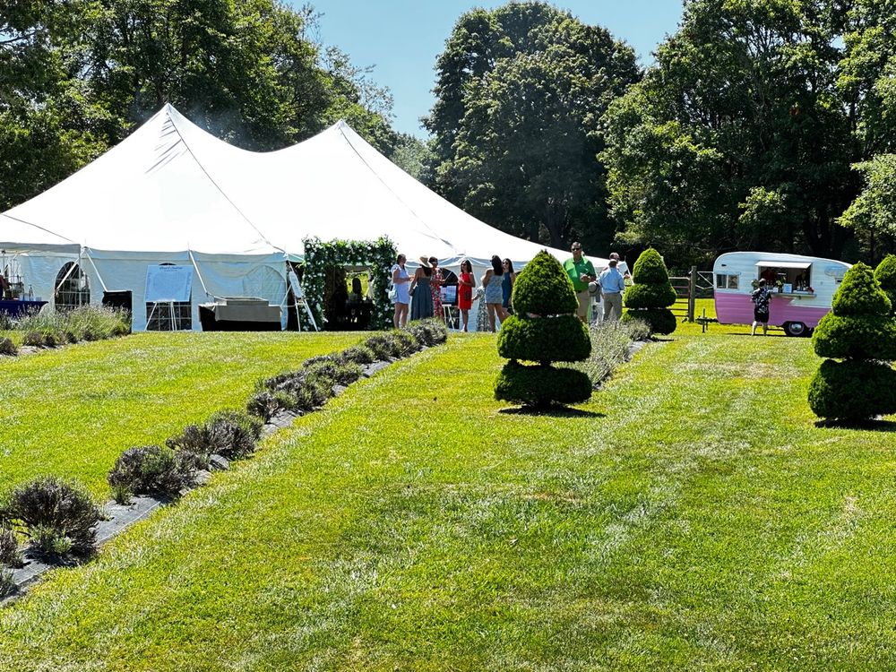 The reception tent on the lawn with the wedding party gathering nearby
